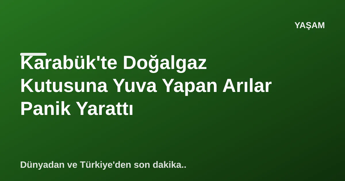 Karabük'te Doğalgaz Kutusuna Yuva Yapan Arılar Panik Yarattı Karabük'te Doğalgaz Kutusuna Yuva Yapan Arılar Panik Yarattı