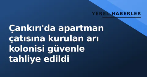 Çankırı'da apartman çatısına kurulan arı kolonisi güvenle tahliye edildi