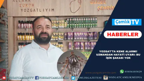 Yozgat'ta Kene Tehlikesi Artıyor: Uzmanlardan Kritik Önlemler