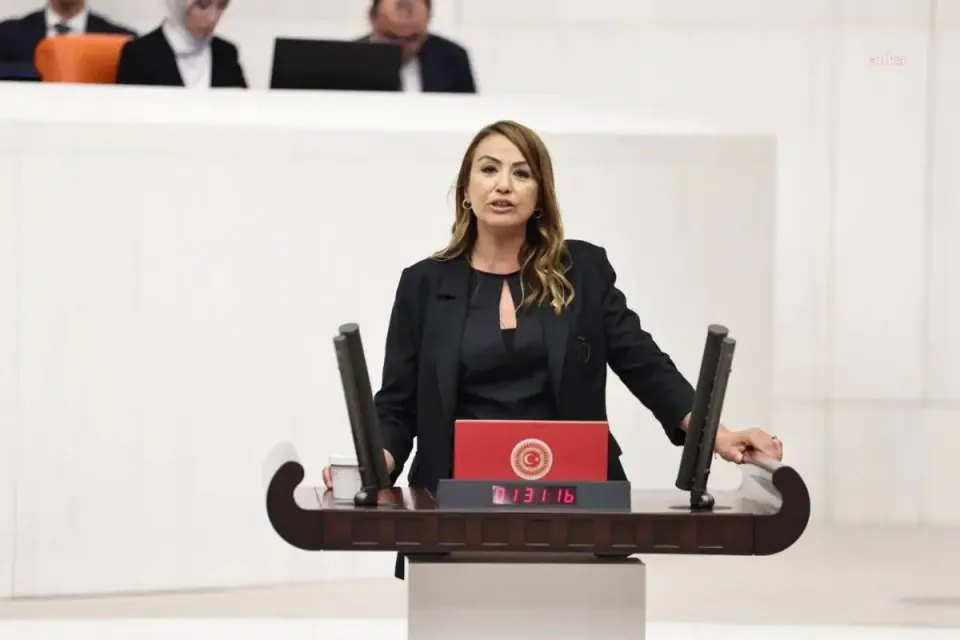 Aknehir'deki Taşkınlar Meclis Gündeminde: Arıtma Tesisi İddiaları Soruldu görseli