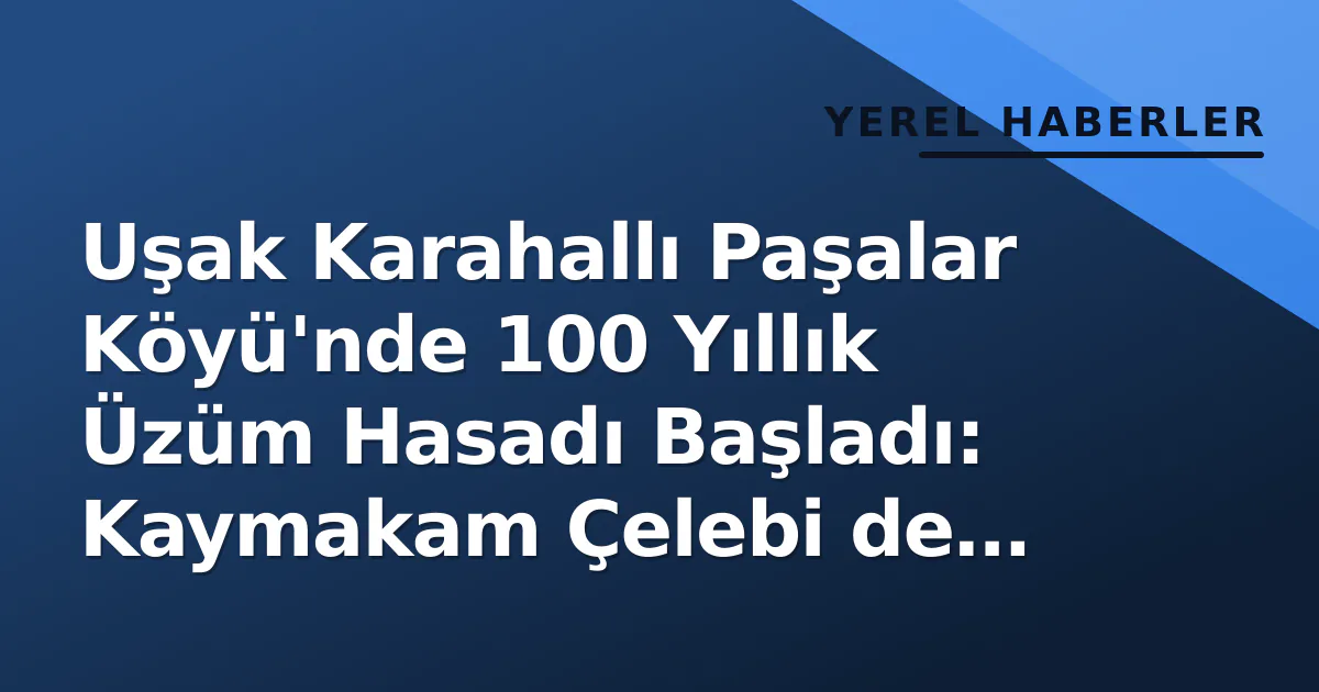 Uşak Karahallı Paşalar Köyü'nde 100 Yıllık Üzüm Hasadı Başladı: Kaymakam Çelebi de Katıldı Uşak Karahallı Paşalar Köyü'nde 100 Yıllık Üzüm Hasadı Başladı: Kaymakam Çelebi de Katıldı