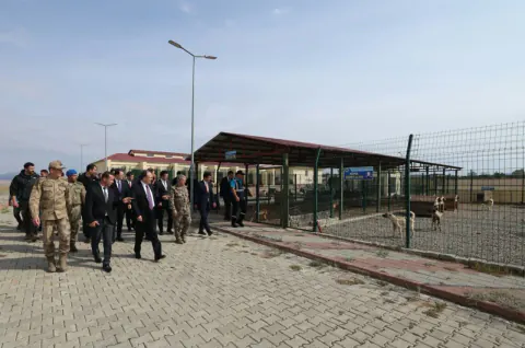 Siirt'te yemek artıkları günde 1 ton mama oluyor: "Güvenli Sokaklar" hedefine ulaşıldı