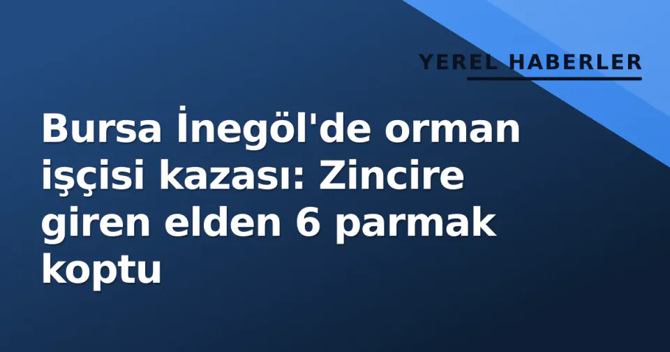 Bursa İnegöl'de orman işçisi kazası: Zincire giren elden 6 parmak koptu görseli