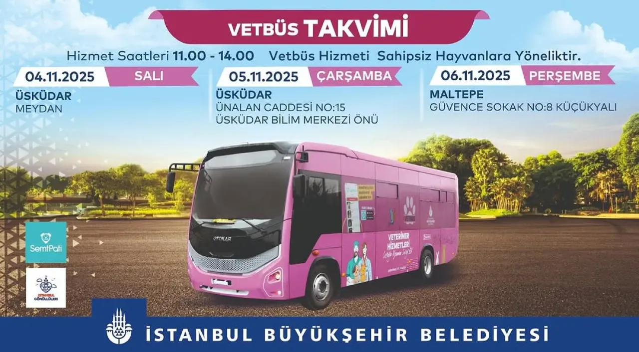 İBB, Sahipsiz Hayvanlar İçin Semt Semt Sağlık Taraması Başlatıyor İBB, Sahipsiz Hayvanlar İçin Semt Semt Sağlık Taraması Başlatıyor