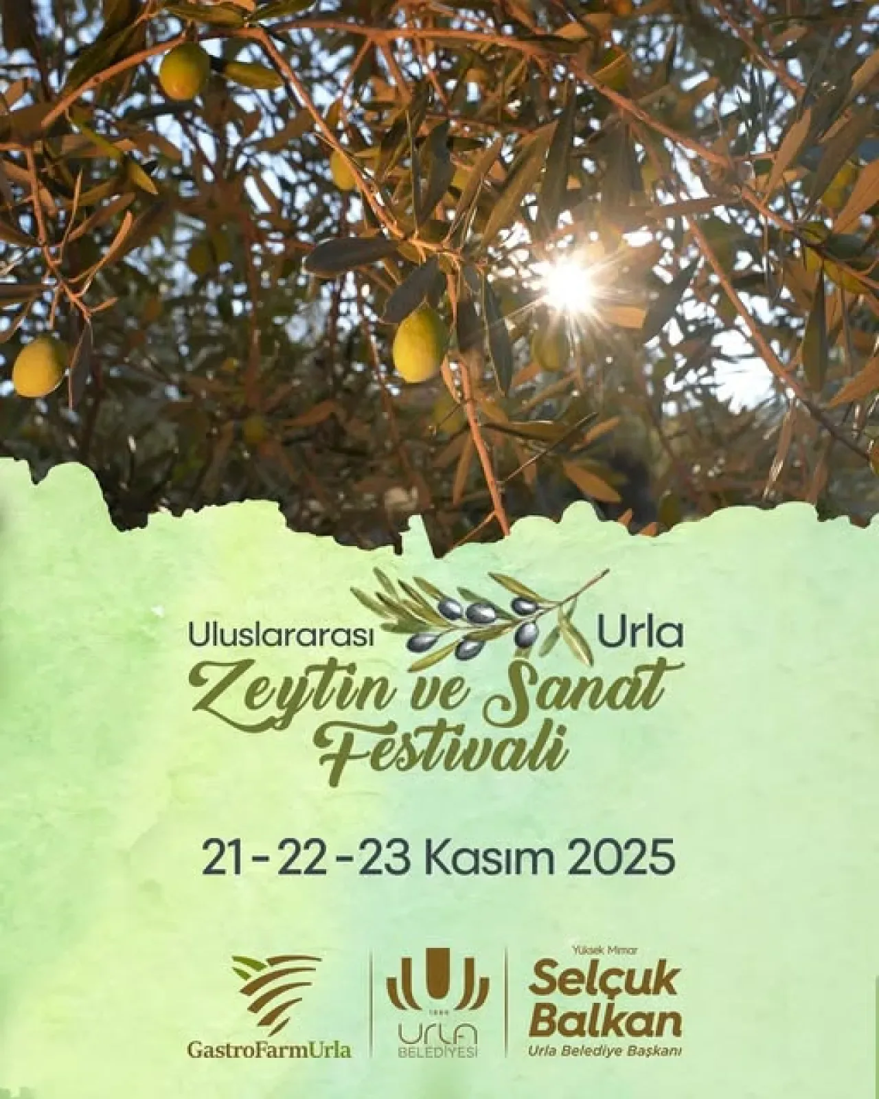 Urla'da Zeytin ve Sanat Festivali 2025 Heyecanı Başlıyor Urla'da Zeytin ve Sanat Festivali 2025 Heyecanı Başlıyor