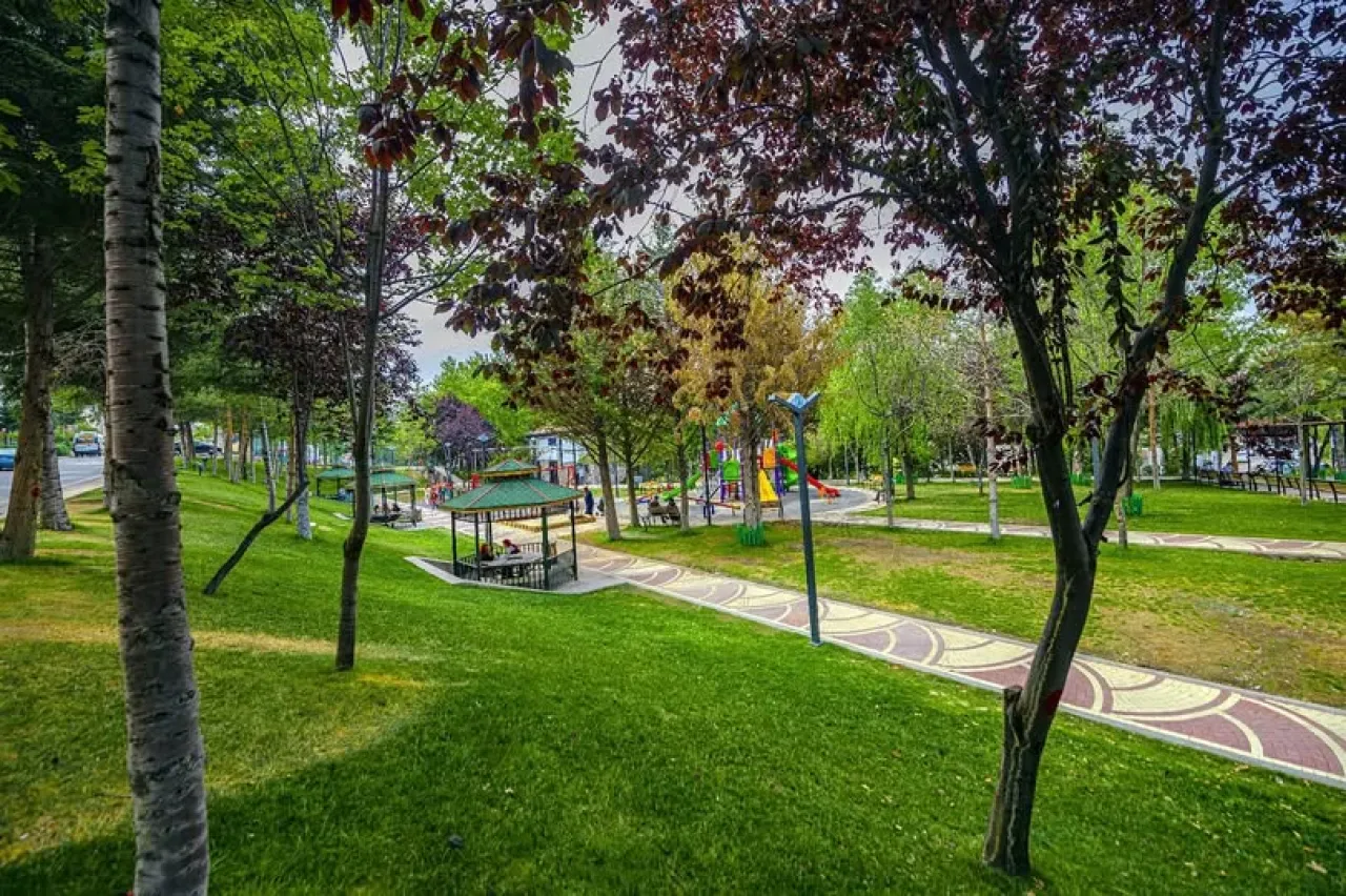Pursaklar'da Huzur ve Mutluluk Dolu Bir Kasım Sabahı Pursaklar'da Huzur ve Mutluluk Dolu Bir Kasım Sabahı