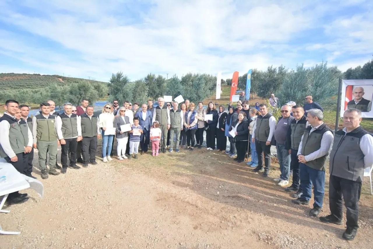 Balıkesir'de Zeytin Ağaçlandırma Sahasında İlk Hasat Heyecanı Balıkesir'de Zeytin Ağaçlandırma Sahasında İlk Hasat Heyecanı