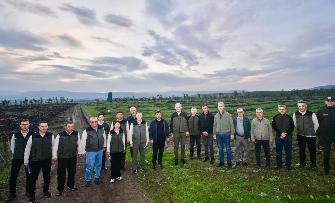 Balıkesir'de Ceviz Ağaçlandırma Sahası İle Orman Köylülerine Ek Gelir Kapısı Balıkesir'de Ceviz Ağaçlandırma Sahası İle Orman Köylülerine Ek Gelir Kapısı