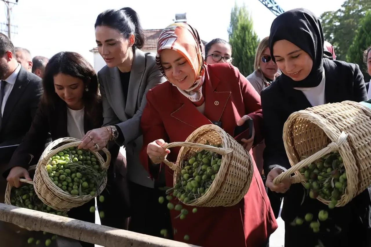 Aydınlı Kadın Girişimci Merve Hanım'ın Zeytin İşletmesi Başarı Hikayesi Aydınlı Kadın Girişimci Merve Hanım'ın Zeytin İşletmesi Başarı Hikayesi