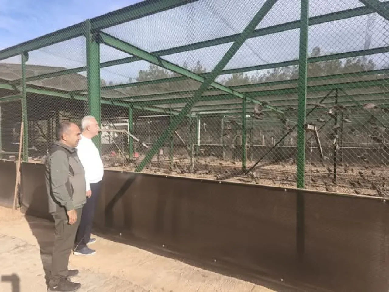 Gaziantep'teki Erikçe Keklik Üretim İstasyonu'nda Üst Düzey Ziyaret Gaziantep'teki Erikçe Keklik Üretim İstasyonu'nda Üst Düzey Ziyaret