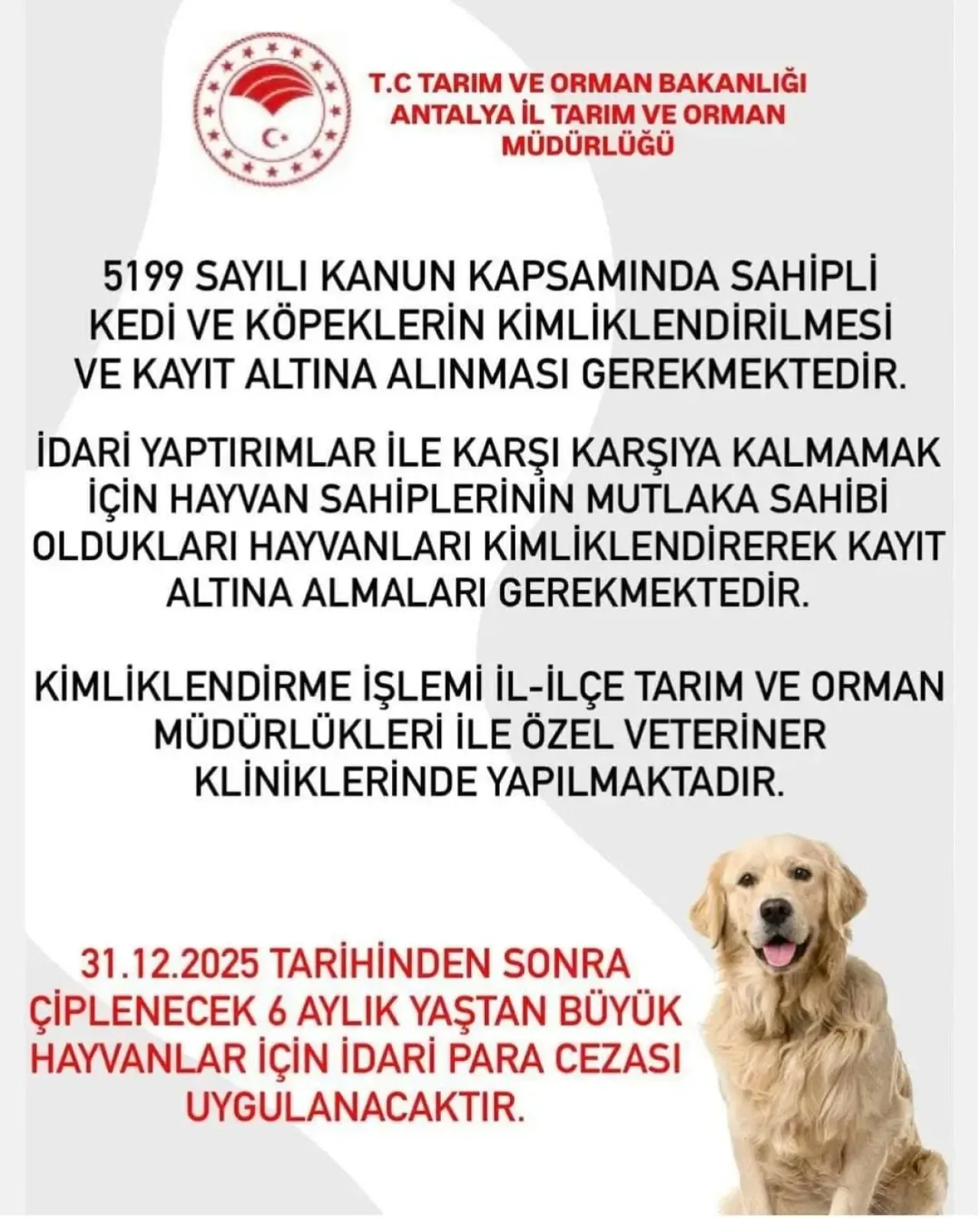 Kumluca'da Evcil Hayvan Kayıt Zorunluluğu: 2025 Sonrası Ceza Uygulanacak Kumluca'da Evcil Hayvan Kayıt Zorunluluğu: 2025 Sonrası Ceza Uygulanacak