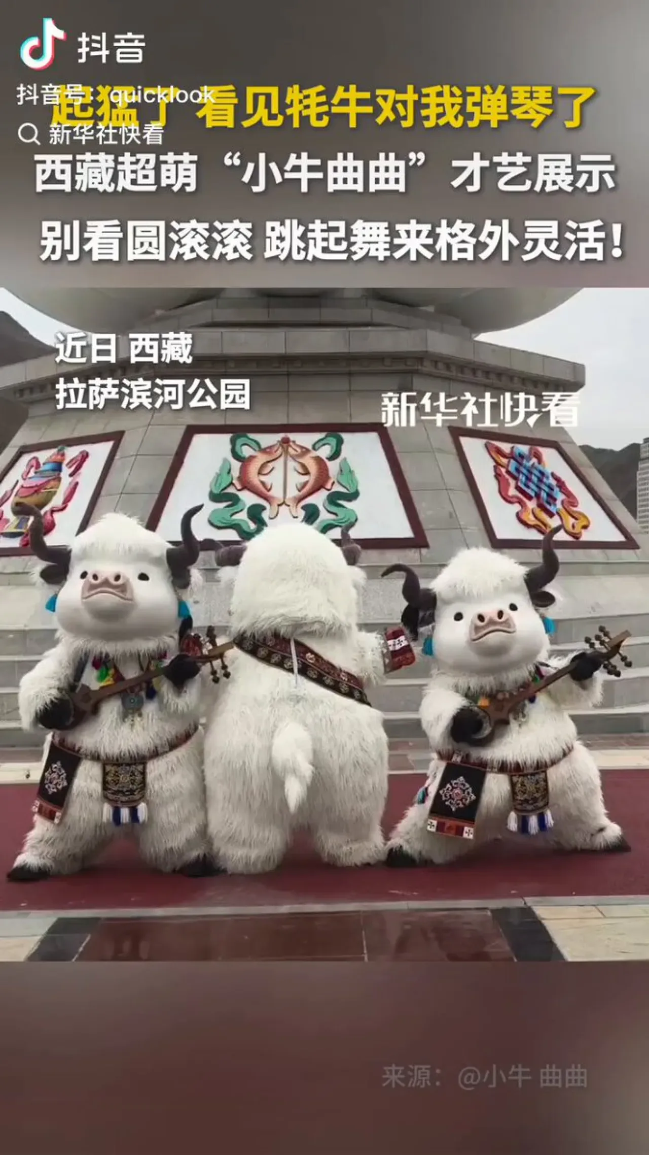Xizang'da Sevimli Kostümlerle Unutulmaz 'Yak Konseri' Xizang'da Sevimli Kostümlerle Unutulmaz 'Yak Konseri'