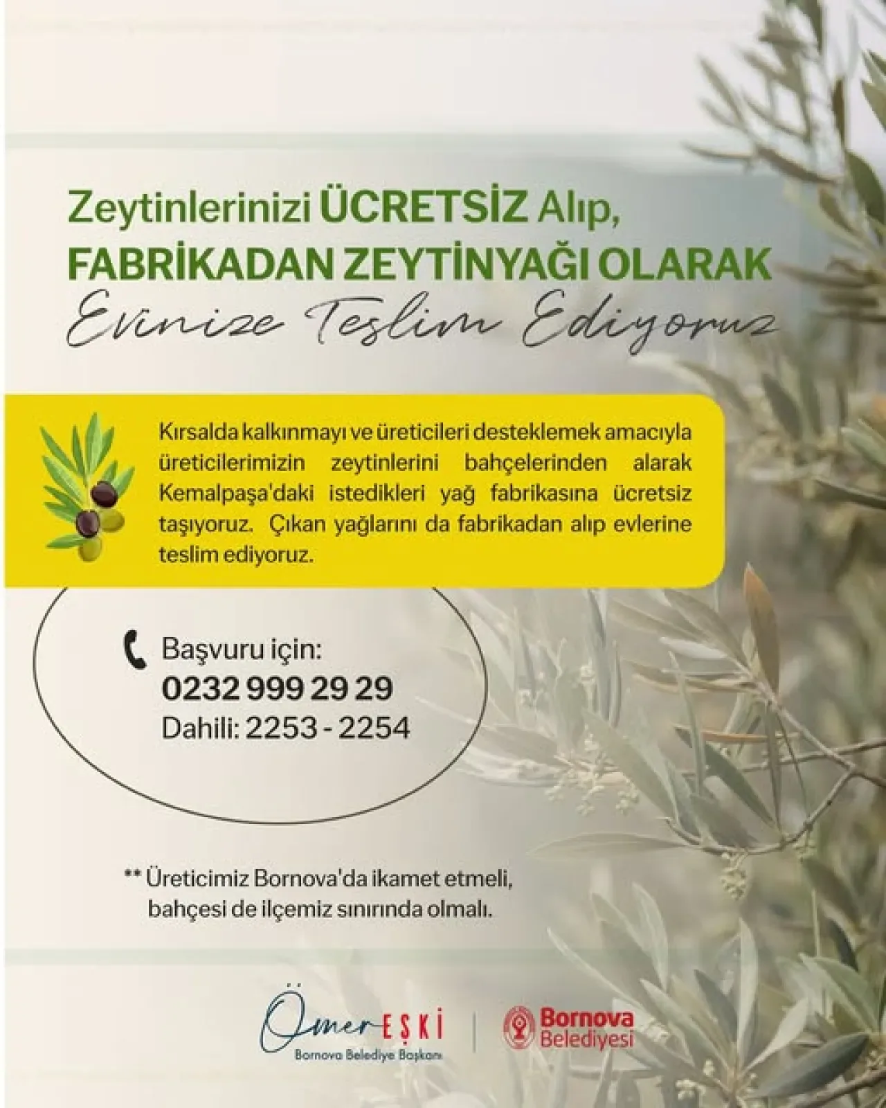 Bornova Belediyesi Üreticilere Zeytinyağı Üretiminde Ücretsiz Taşıma Desteği Veriyor Bornova Belediyesi Üreticilere Zeytinyağı Üretiminde Ücretsiz Taşıma Desteği Veriyor
