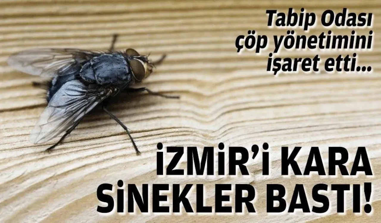 İzmir'de Çöp ve Sinek Sorunu Siyasi Gerilimi Alevlendirdi: AK Parti'li Kaya'dan CHP'li Tugay'a Sert Yanıt İzmir'de Çöp ve Sinek Sorunu Siyasi Gerilimi Alevlendirdi: AK Parti'li Kaya'dan CHP'li Tugay'a Sert Yanıt