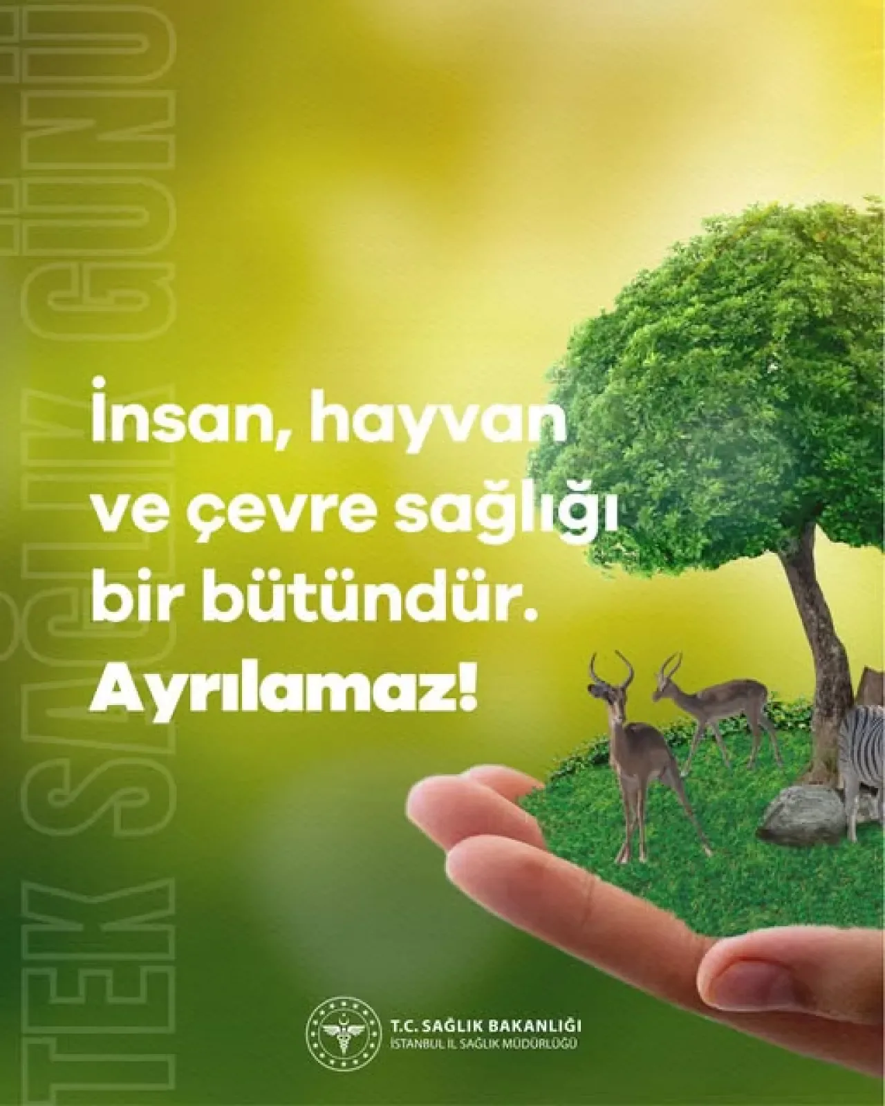 Tek Sağlık Yaklaşımı: İnsan, Hayvan ve Çevre Sağlığı Bir Bütün Olarak Ele Alınıyor Tek Sağlık Yaklaşımı: İnsan, Hayvan ve Çevre Sağlığı Bir Bütün Olarak Ele Alınıyor