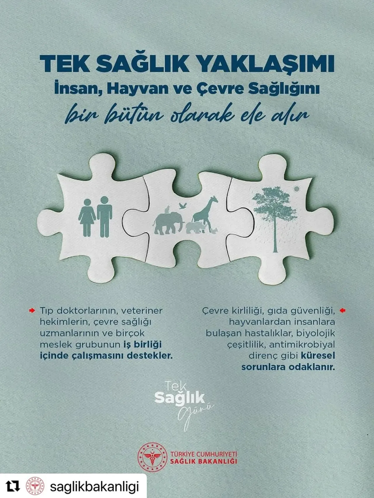 Beşiktaş'ta Sağlık Çalışanları Günü Coşkuyla Kutlandı Beşiktaş'ta Sağlık Çalışanları Günü Coşkuyla Kutlandı