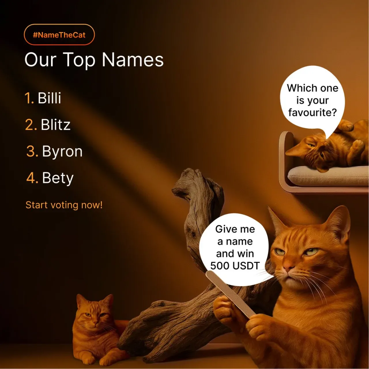 Bybit Kullanıcıları Müşterek Mascot İsmini Seçiyor Bybit Kullanıcıları Müşterek Mascot İsmini Seçiyor
