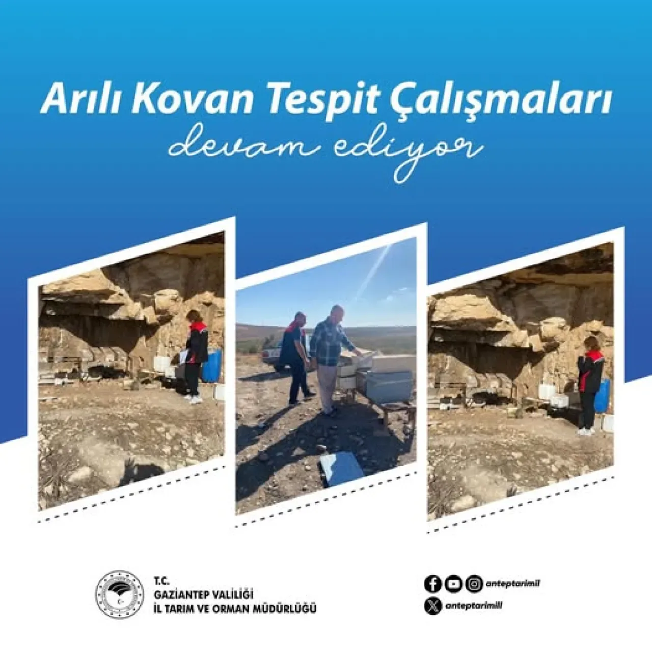 Gaziantep'te Arılı Kovan Tespit Çalışmaları Sürüyor Gaziantep'te Arılı Kovan Tespit Çalışmaları Sürüyor