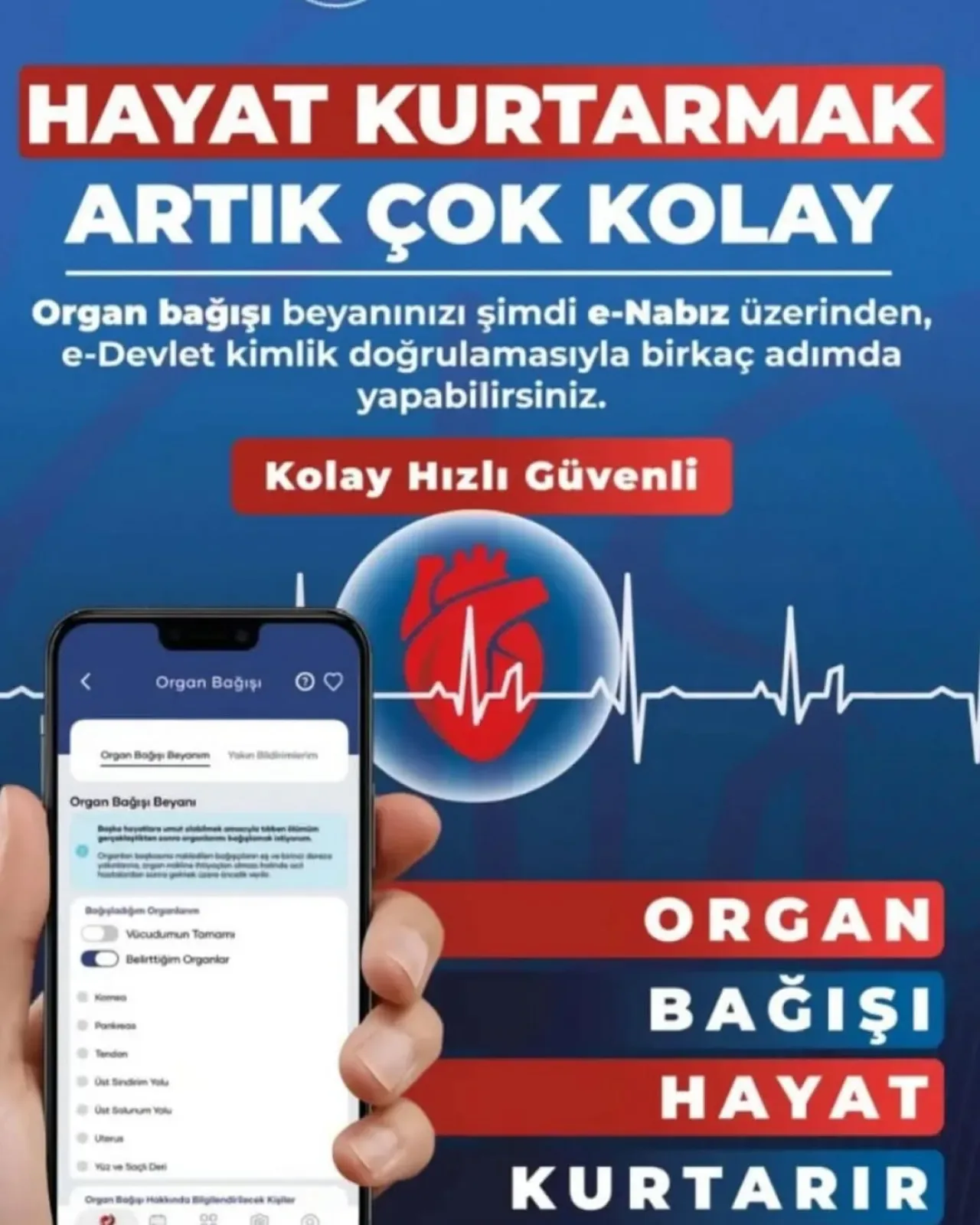 Bursa Osmangazi'de Organ Bağışı Haftası Etkinlikleri Başladı Bursa Osmangazi'de Organ Bağışı Haftası Etkinlikleri Başladı
