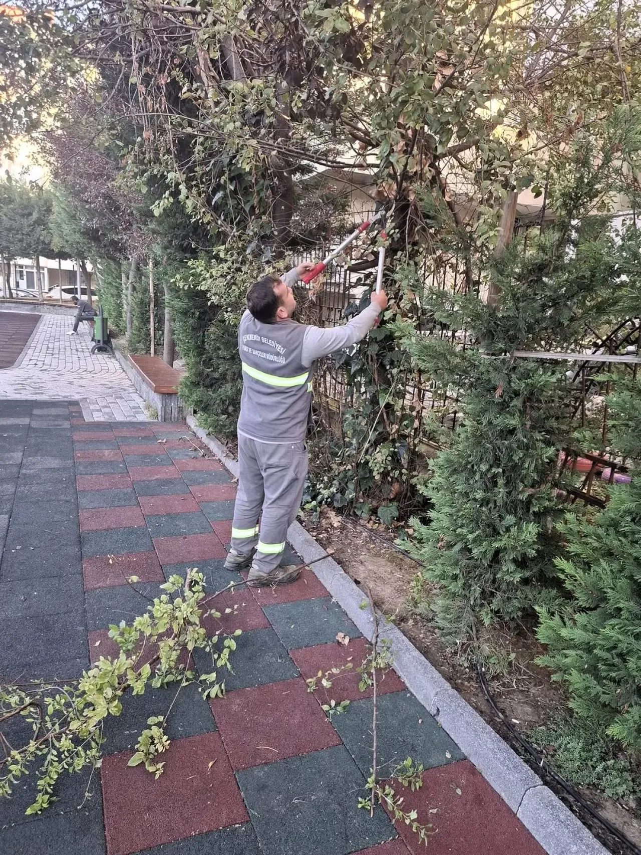 Çekmeköy Belediyesi, İlçenin Yeşil Dokusunu Koruyor Çekmeköy Belediyesi, İlçenin Yeşil Dokusunu Koruyor