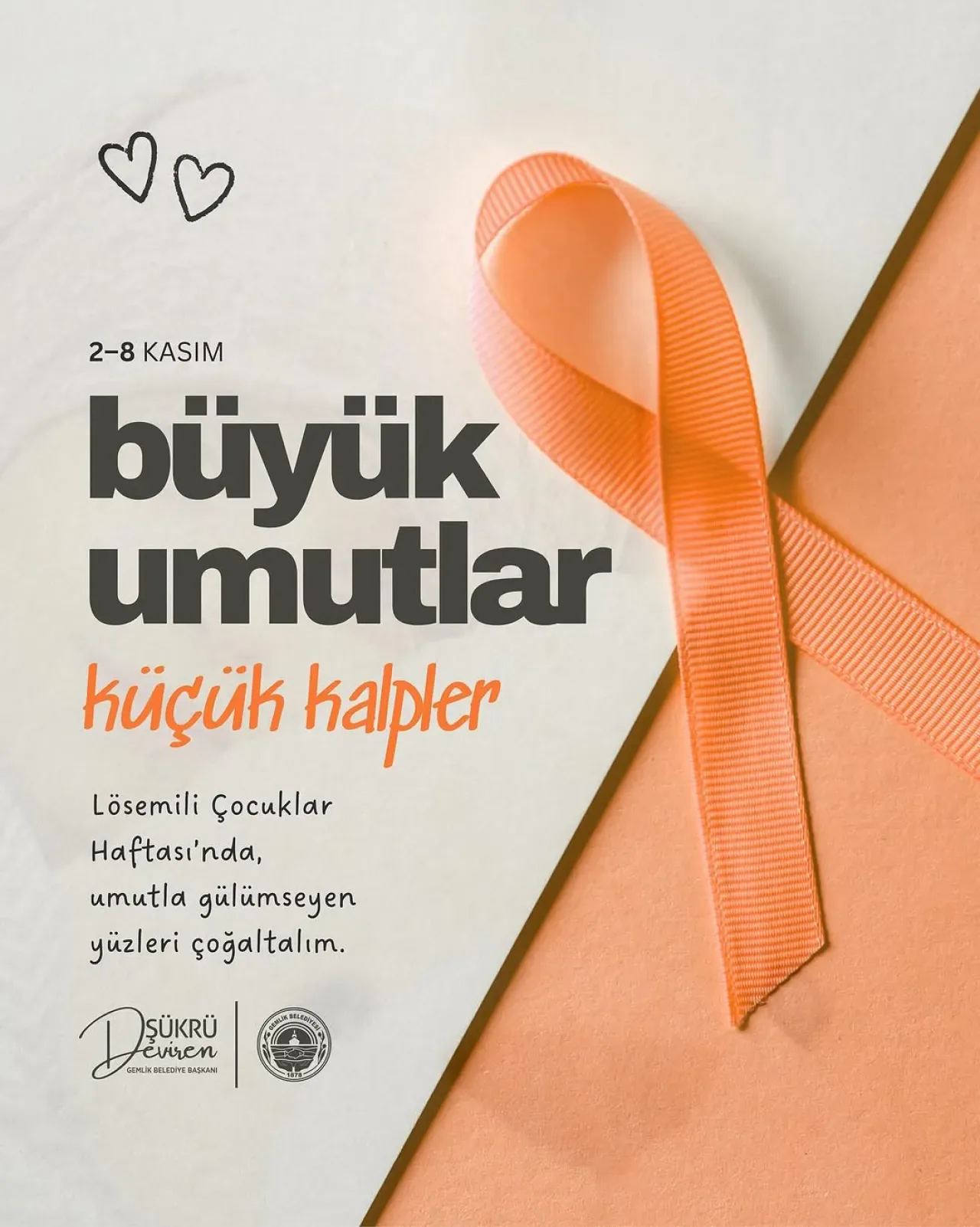 Gemlik Belediyesi'nden Lösemili Çocuklar İçin Anlamlı Mesaj Gemlik Belediyesi'nden Lösemili Çocuklar İçin Anlamlı Mesaj