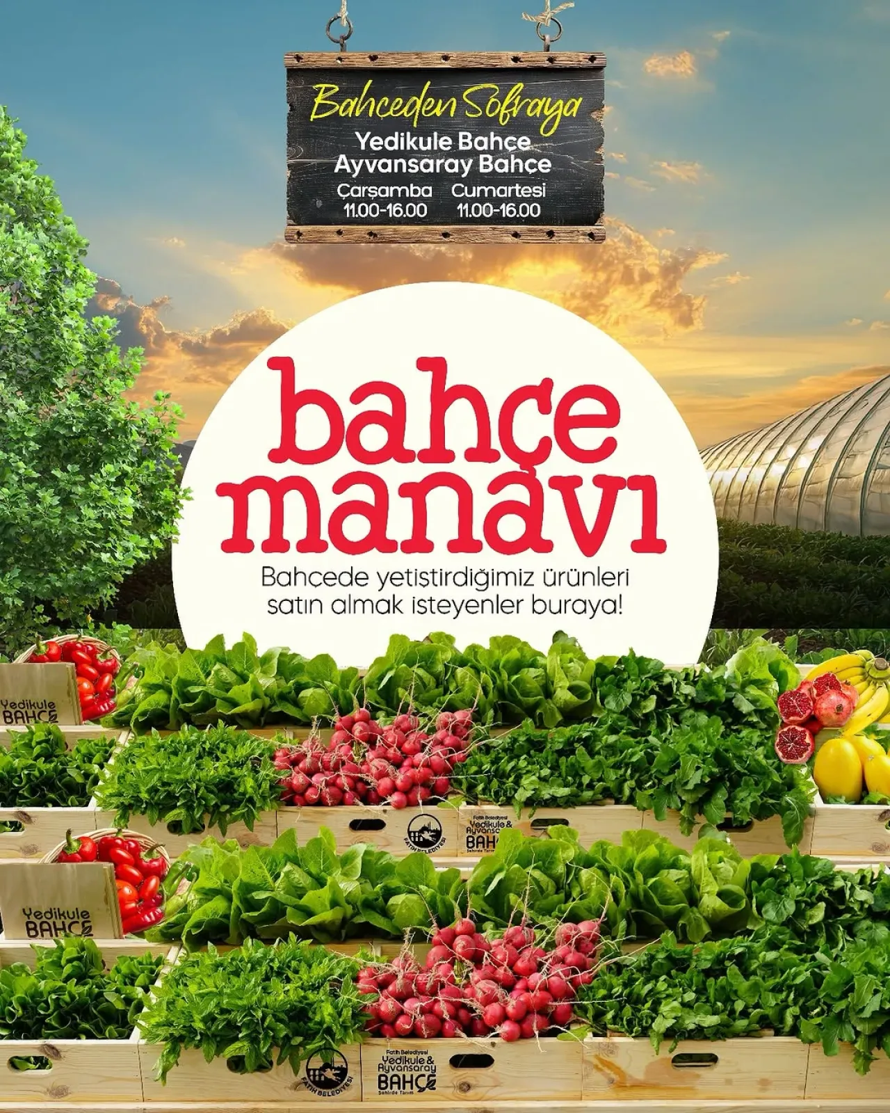 Fatih'te Yetiştirilen Sebzeler Bahçe Manavı'nda Vatandaşlarla Buluşuyor Fatih'te Yetiştirilen Sebzeler Bahçe Manavı'nda Vatandaşlarla Buluşuyor