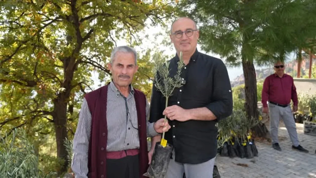 Alanya'da Yangın Bölgesine 10 Bin Zeytin Fidanı Dağıtıldı Alanya'da Yangın Bölgesine 10 Bin Zeytin Fidanı Dağıtıldı