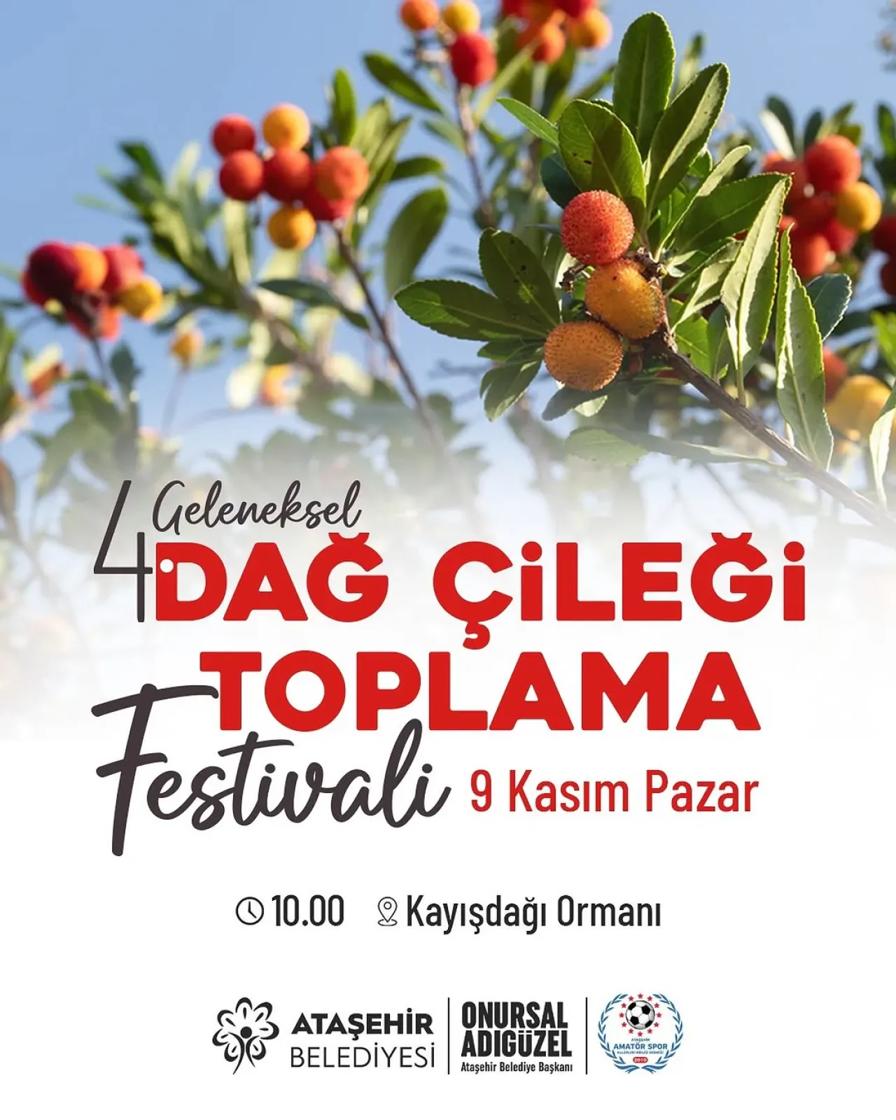 Ataşehir'de 4. Geleneksel Dağ Çileği Festivali Kayışdağı Ormanı'nda Düzenleniyor Ataşehir'de 4. Geleneksel Dağ Çileği Festivali Kayışdağı Ormanı'nda Düzenleniyor