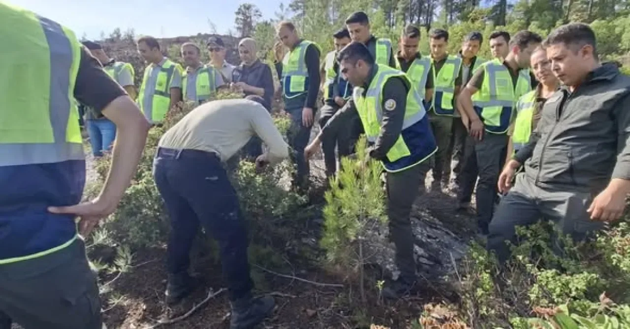Antalya'da Orman Teknik Personeline Uygulamalı Silvikültür Eğitimi Antalya'da Orman Teknik Personeline Uygulamalı Silvikültür Eğitimi