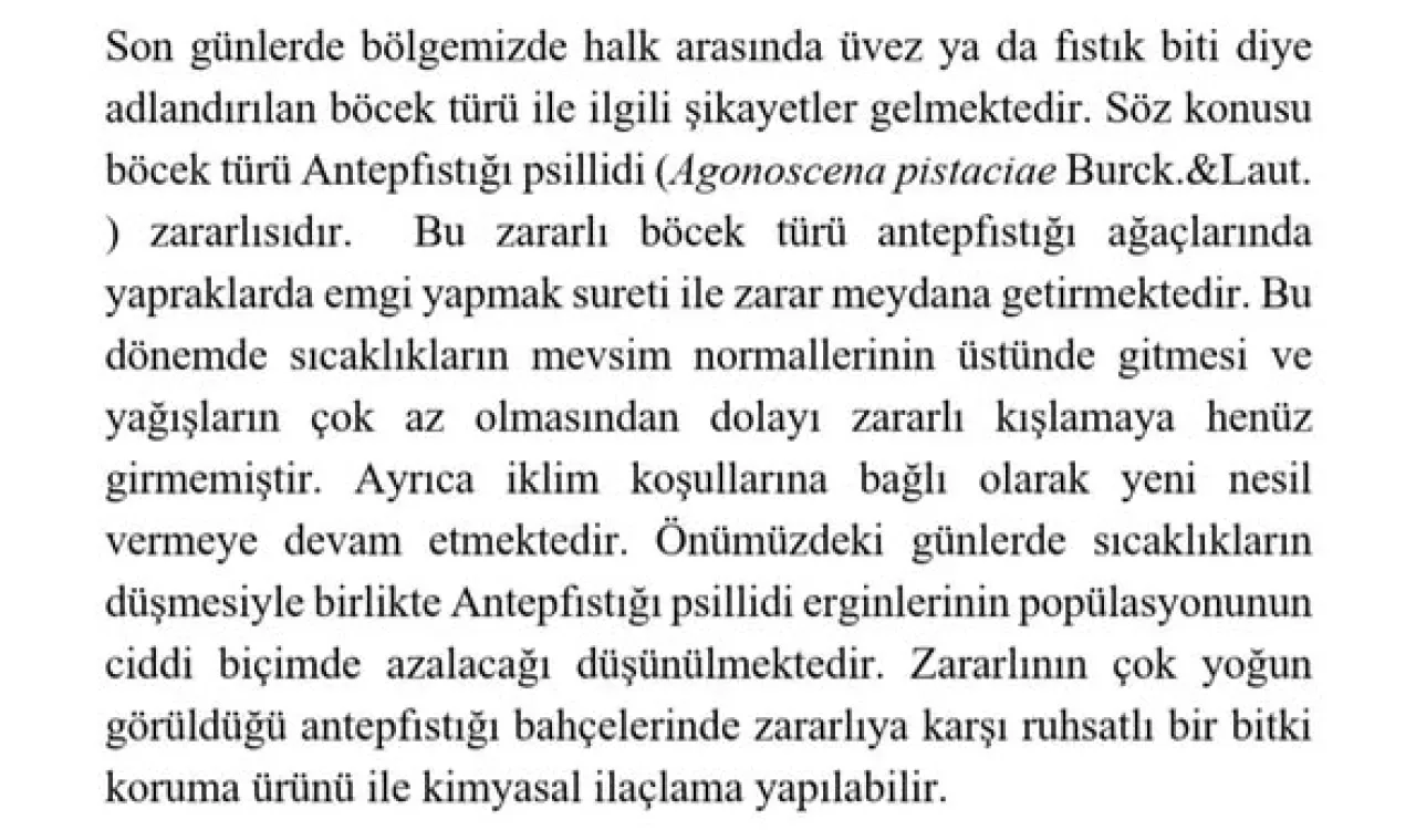 Oğuzeli'nde Görülen Üvez Böceği İçin Resmi Açıklama Oğuzeli'nde Görülen Üvez Böceği İçin Resmi Açıklama