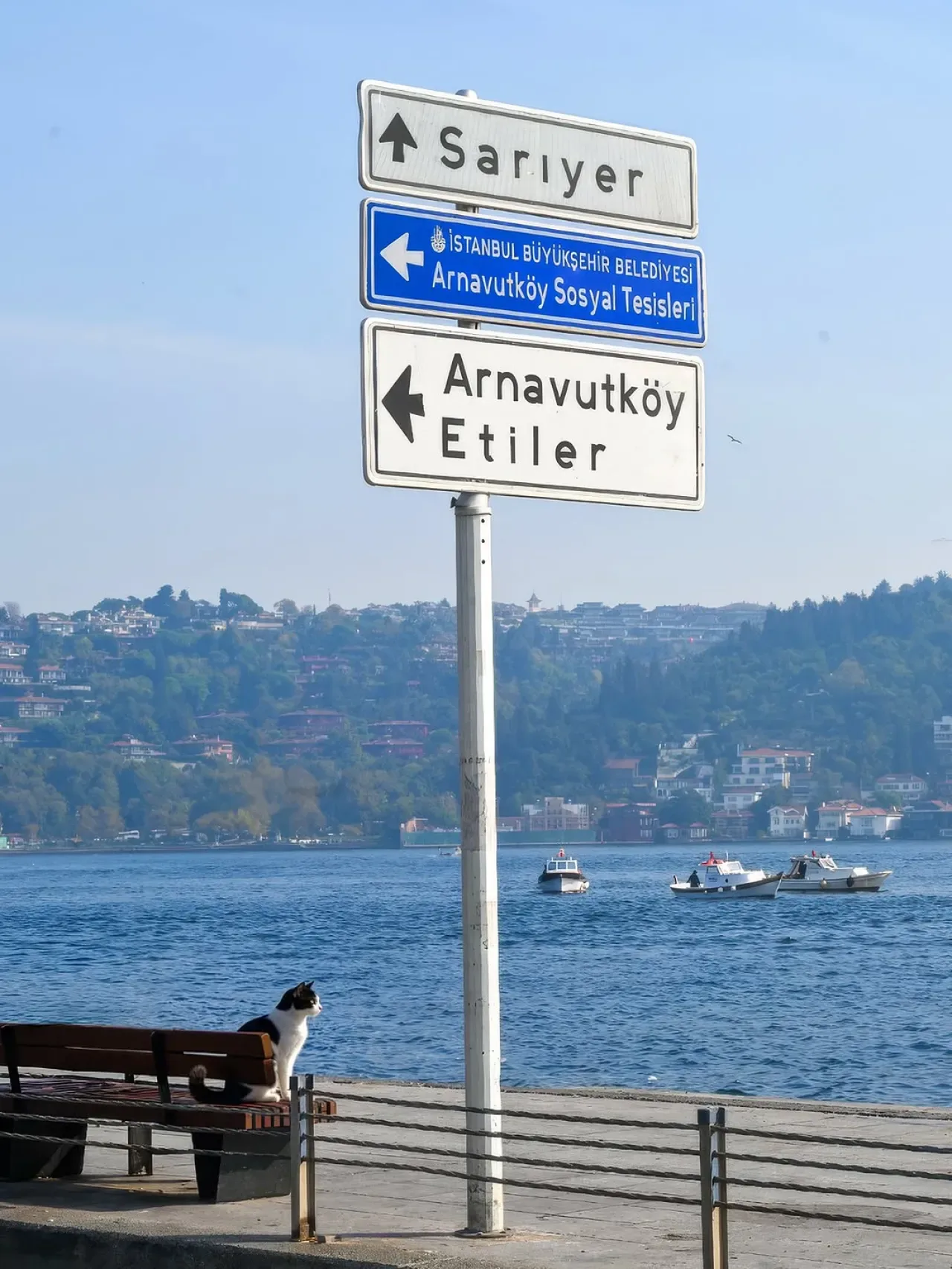 Beşiktaş'ta Tabela Yıkımından Sosyal Sorumluluk Projesine: Kızılay'a Bağış Beşiktaş'ta Tabela Yıkımından Sosyal Sorumluluk Projesine: Kızılay'a Bağış