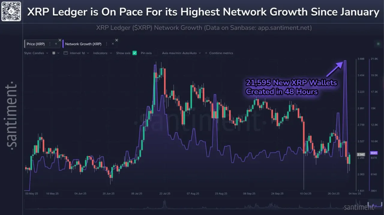 XRP Fiyatında Toparlanma: 48 Saatte 21.595 Yeni Cüzdan Oluşturuldu XRP Fiyatında Toparlanma: 48 Saatte 21.595 Yeni Cüzdan Oluşturuldu