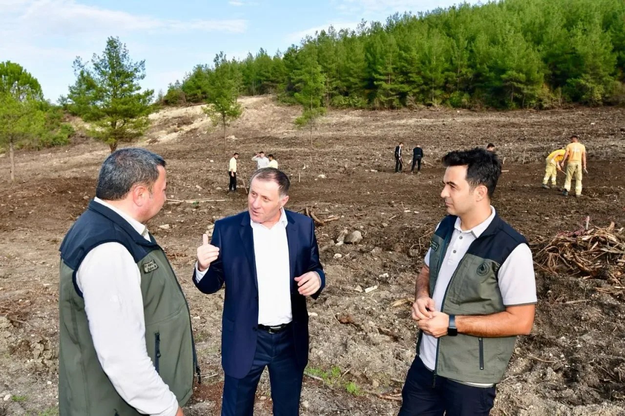 Balıkesir'de 11 Kasım Milli Ağaçlandırma Günü Hazırlıkları Tamamlandı Balıkesir'de 11 Kasım Milli Ağaçlandırma Günü Hazırlıkları Tamamlandı