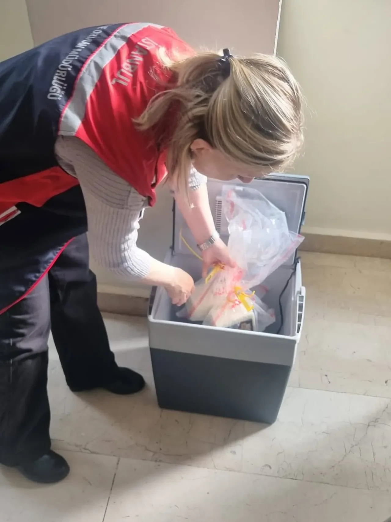Büyükçekmece'de Okul Kantinleri ve Yemekhanelerinde Gıda Denetimi Büyükçekmece'de Okul Kantinleri ve Yemekhanelerinde Gıda Denetimi