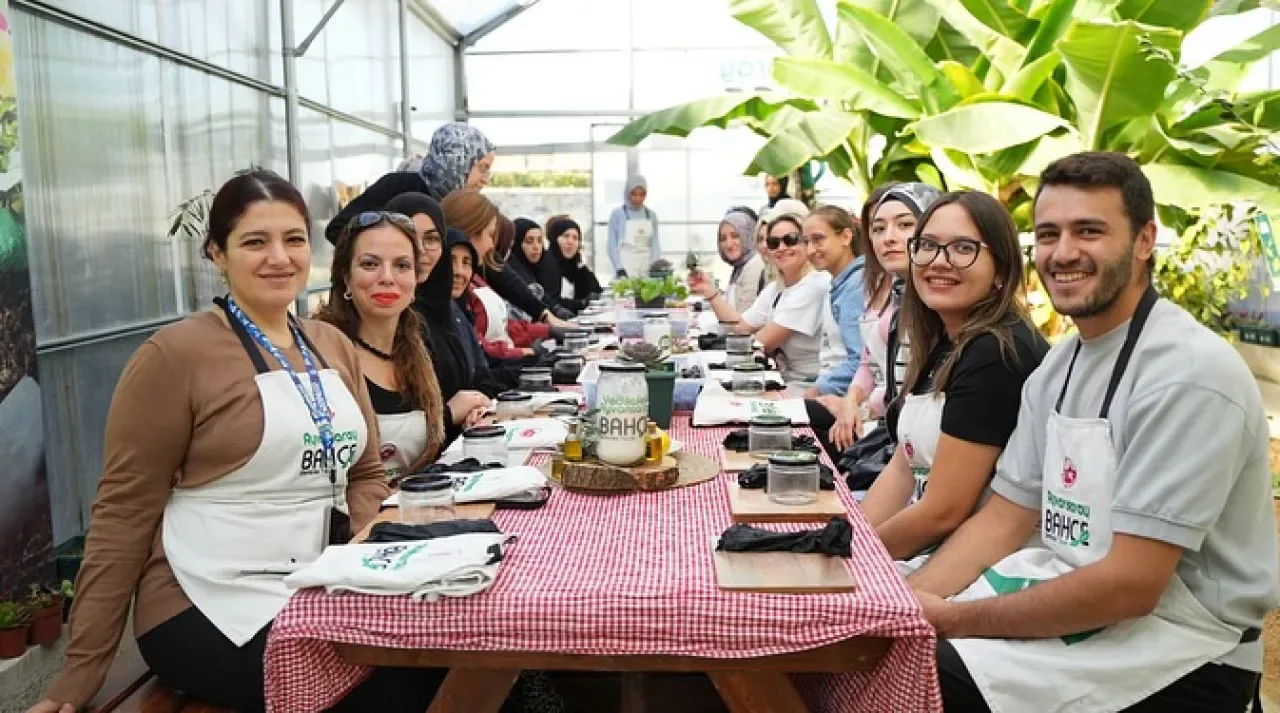 Fatih'te Ayvansaray Bahçesi'nde Zeytin Hasadı ve Salamura Etkinliği Fatih'te Ayvansaray Bahçesi'nde Zeytin Hasadı ve Salamura Etkinliği