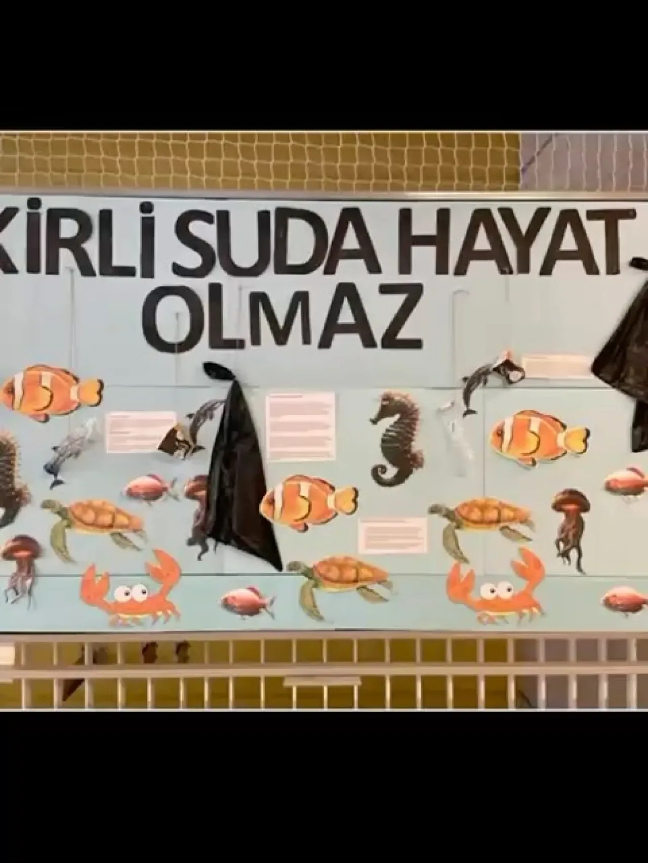 Fatih'teki Öğrenciler Deniz Temizliği İçin Farkındalık Çalışmalarına İmza Attı Fatih'teki Öğrenciler Deniz Temizliği İçin Farkındalık Çalışmalarına İmza Attı