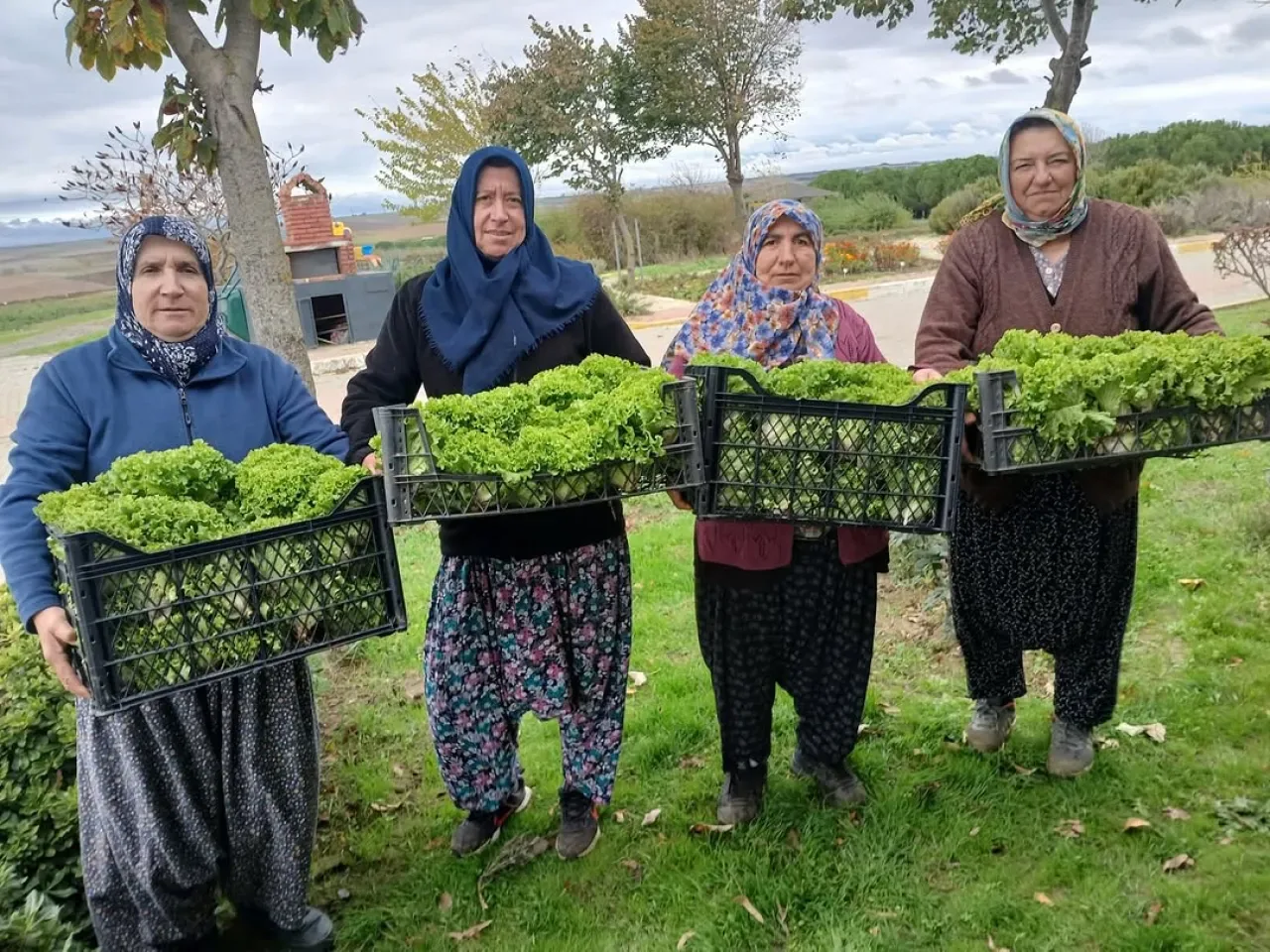 Silivri Belediyesi, Ürettiği Sebzeleri Yemekhanesinde Değerlendiriyor Silivri Belediyesi, Ürettiği Sebzeleri Yemekhanesinde Değerlendiriyor