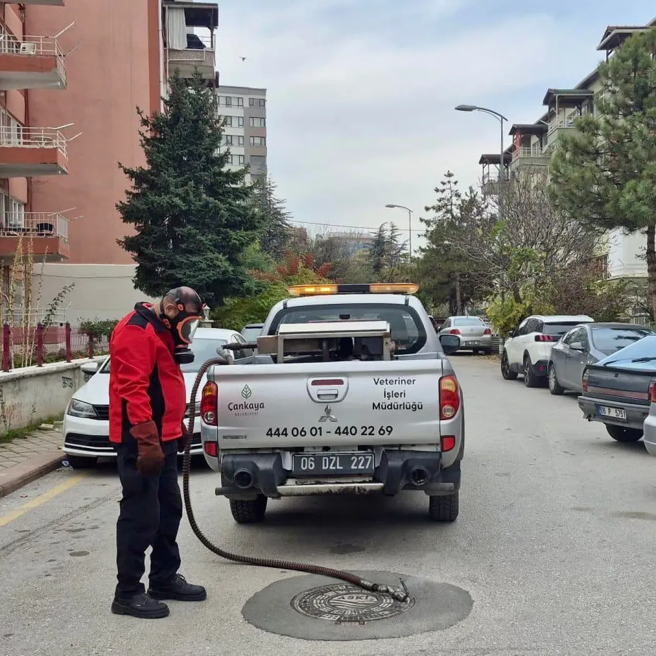 Çankaya Belediyesi Sivrisinekle Mücadele Çalışmalarını Sürdürüyor Çankaya Belediyesi Sivrisinekle Mücadele Çalışmalarını Sürdürüyor