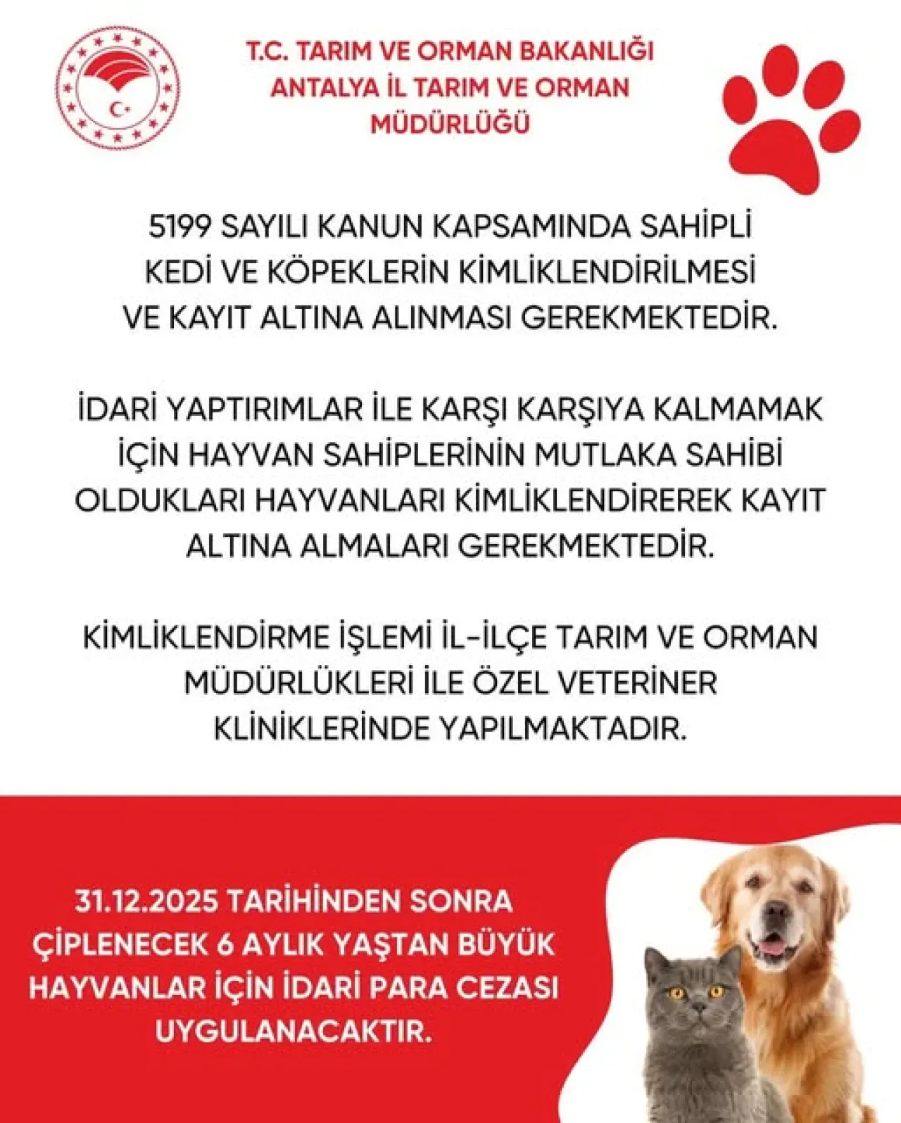 Demre'de Evcil Hayvanlar İçin Mikroçip Uygulaması Zorunlu Hale Geliyor Demre'de Evcil Hayvanlar İçin Mikroçip Uygulaması Zorunlu Hale Geliyor