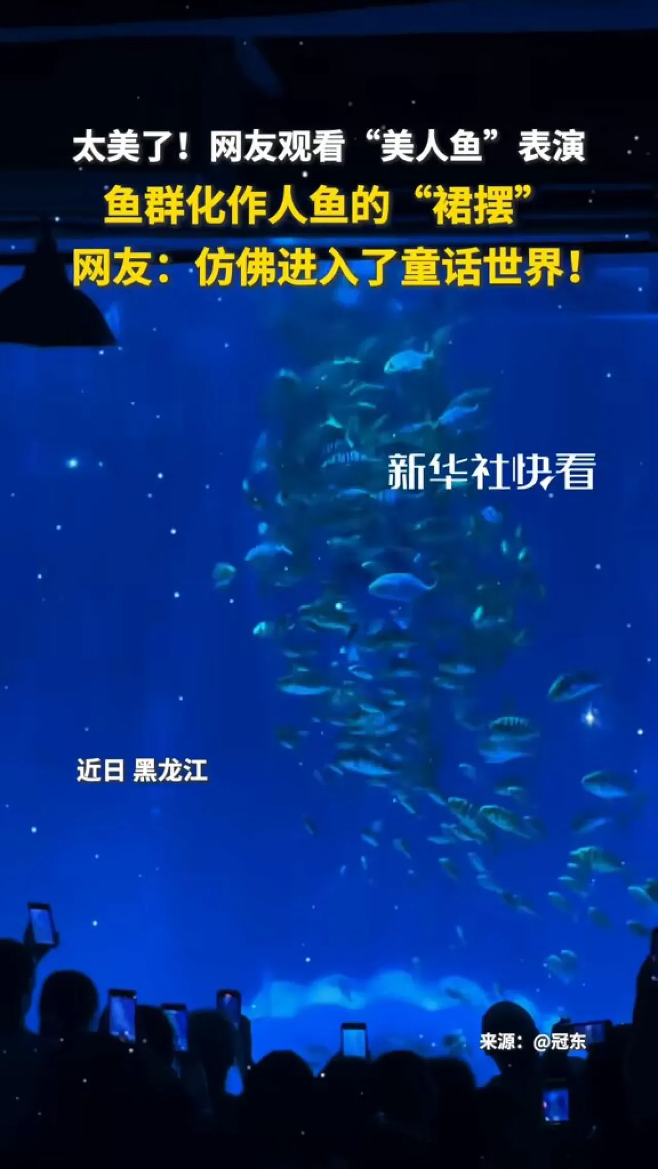 Heilongjiang'da Denizkızı Performansı Büyüledi Heilongjiang'da Denizkızı Performansı Büyüledi
