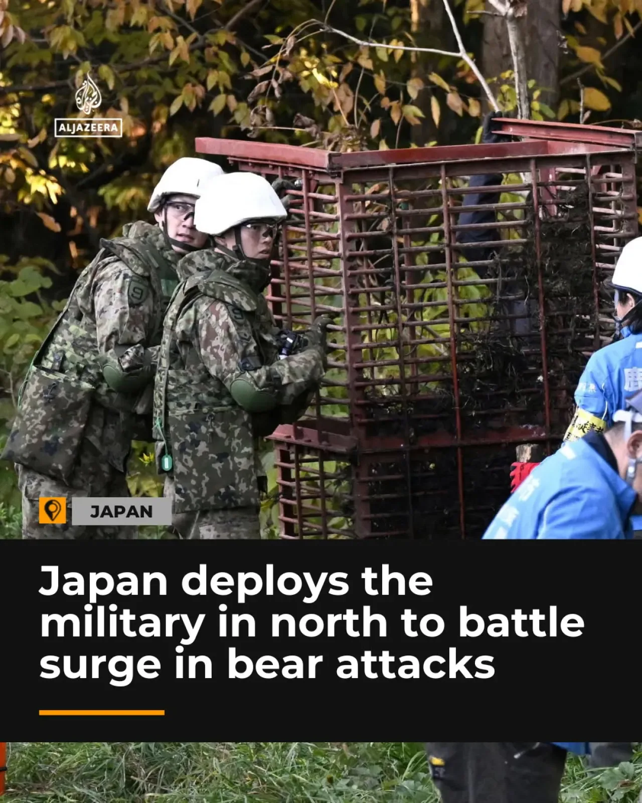 Japonya'da Ayı Saldırılarına Karşı Askeri Birlikler Devreye Girdi Japonya'da Ayı Saldırılarına Karşı Askeri Birlikler Devreye Girdi