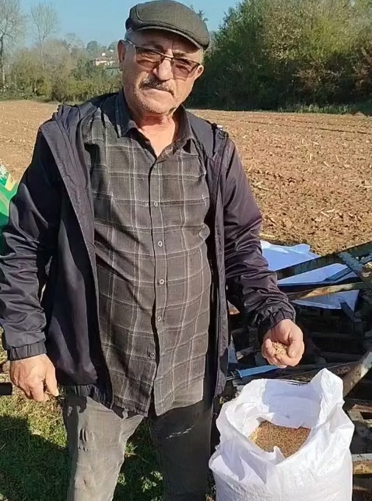 Yerli Yulaf Çeşitleri Beykoz'da Toprakla Buluştu Yerli Yulaf Çeşitleri Beykoz'da Toprakla Buluştu