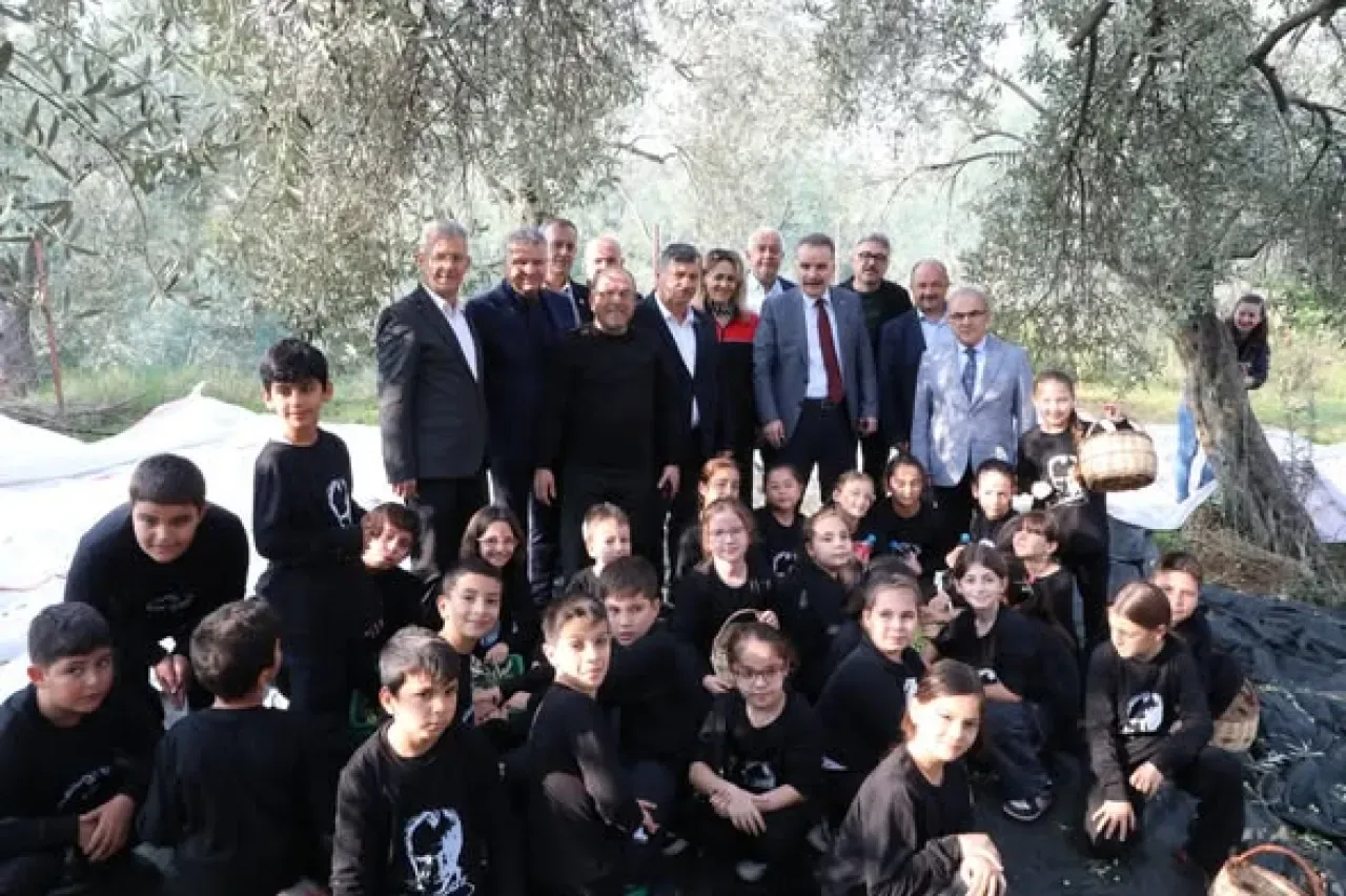 Edremit'te Öğrenciler Tarladan Sofraya Zeytin Hasadını Öğrendi Edremit'te Öğrenciler Tarladan Sofraya Zeytin Hasadını Öğrendi
