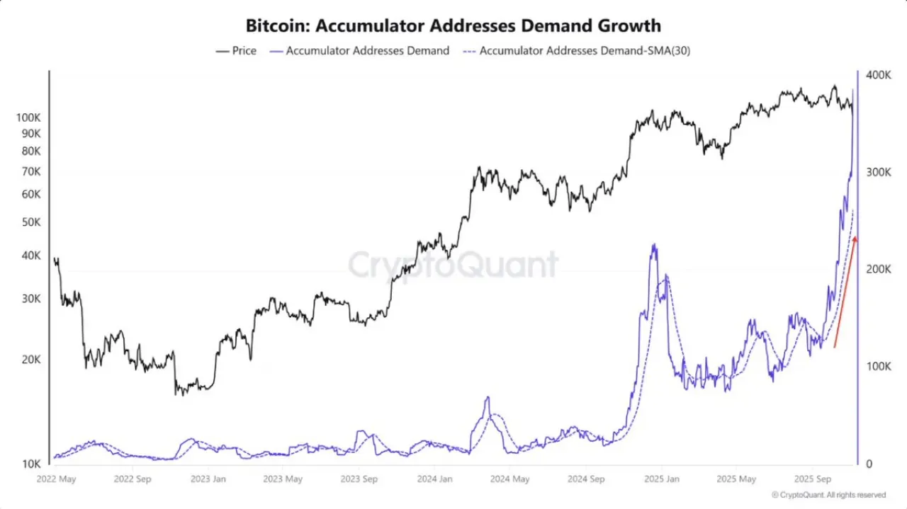 Bitcoin Piyasasında Uzun Vadeli Yatırımcılar Satış Baskısını Emilimliyor Bitcoin Piyasasında Uzun Vadeli Yatırımcılar Satış Baskısını Emilimliyor