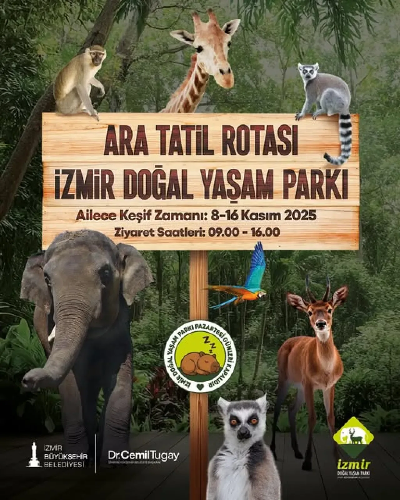 Ara Tatilde Doğayla İç İçe Bir Mola: İzmir Doğal Yaşam Parkı'nda Keşif Zamanı Ara Tatilde Doğayla İç İçe Bir Mola: İzmir Doğal Yaşam Parkı'nda Keşif Zamanı