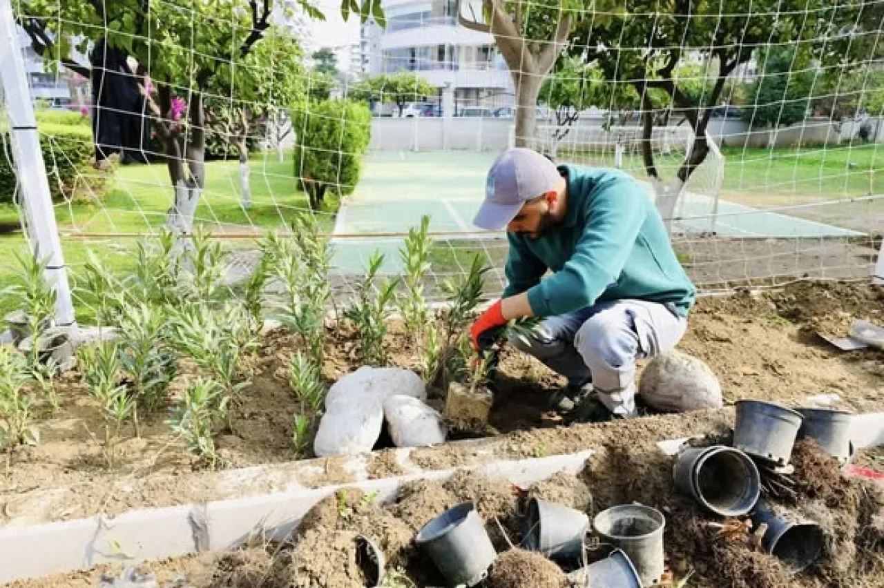İzmir Narlıdere'de Park ve Yeşil Alan Bakım Seferberliği İzmir Narlıdere'de Park ve Yeşil Alan Bakım Seferberliği