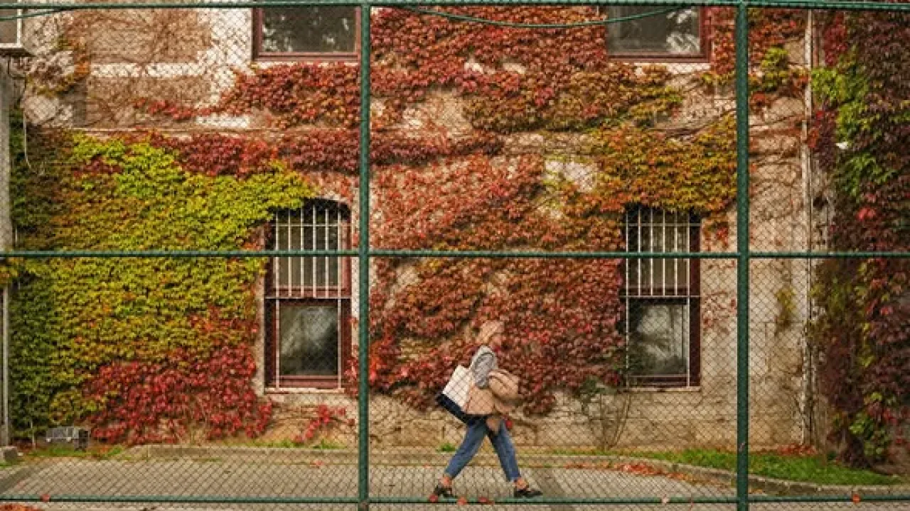 Boğaziçi Üniversitesi'nin Kampüsünde Kasım Ayının Getirdiği Değişim Boğaziçi Üniversitesi'nin Kampüsünde Kasım Ayının Getirdiği Değişim