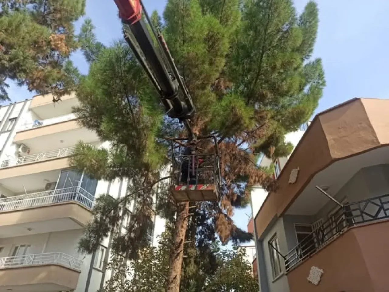 Nizip Belediyesi, Parkları ve Oyun Alanlarını Yeniliyor Nizip Belediyesi, Parkları ve Oyun Alanlarını Yeniliyor