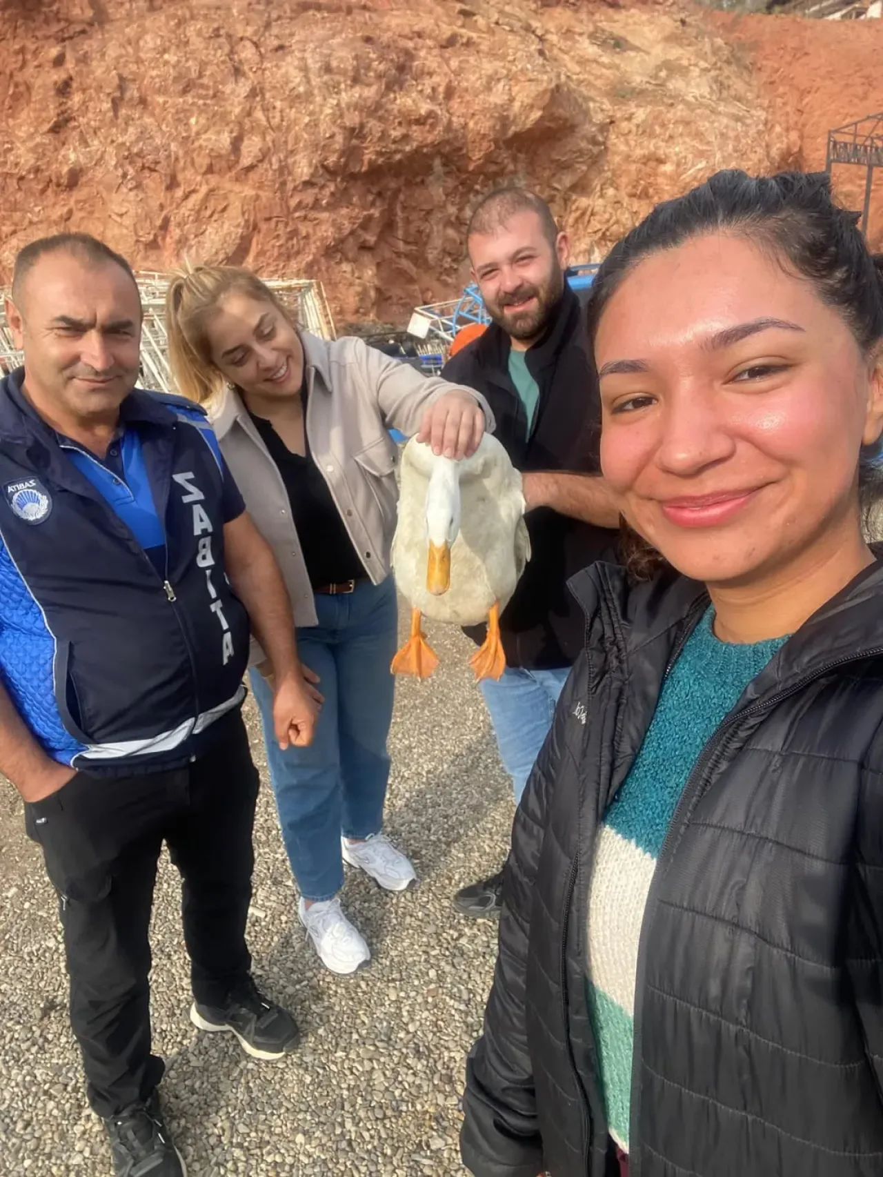 Nallıhan'da Millet Bahçesi Ördeği Kiraz, Yapılan Tedaviyle Sağlığına Kavuştu Nallıhan'da Millet Bahçesi Ördeği Kiraz, Yapılan Tedaviyle Sağlığına Kavuştu