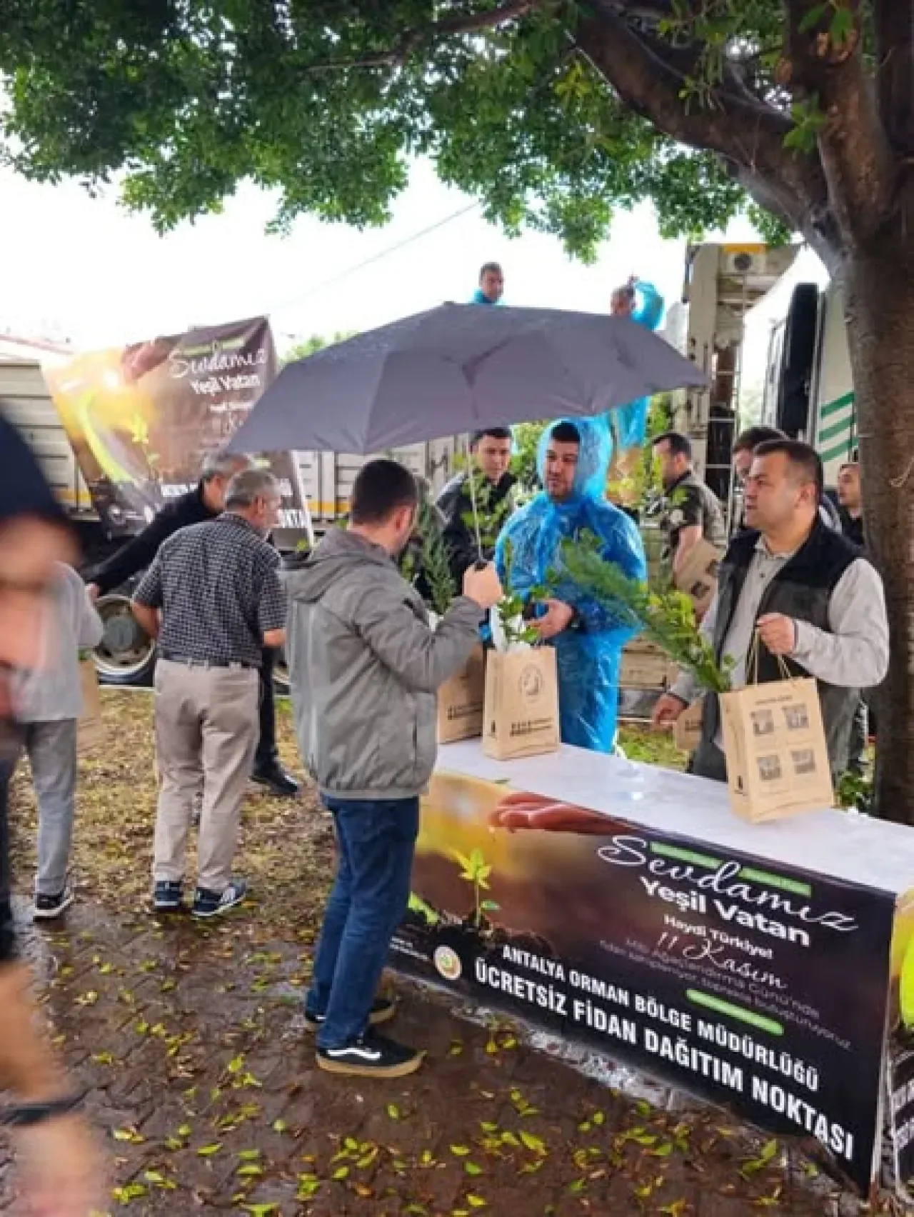Antalya'da 11 Kasım Milli Ağaçlandırma Günü'nde Ücretsiz Fidan Dağıtımı Antalya'da 11 Kasım Milli Ağaçlandırma Günü'nde Ücretsiz Fidan Dağıtımı